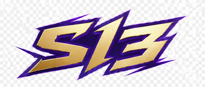 s13